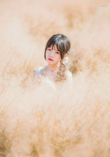 一级日韩欧美-高清中字欧美在线观看